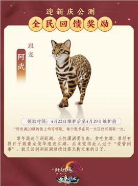 天龙八部神雕侠侣私服